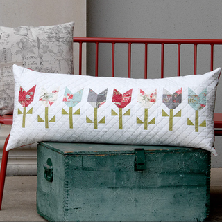 Frightful Gnomes Pillow Kit