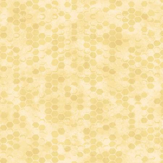 R210787D YELLOW HONEYCOMB GARD