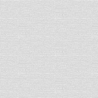 STELLA-F1150 MOON  MOONSCAPE