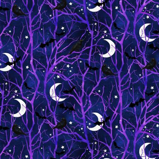 INTO THE WEB W5343-19 NAVY