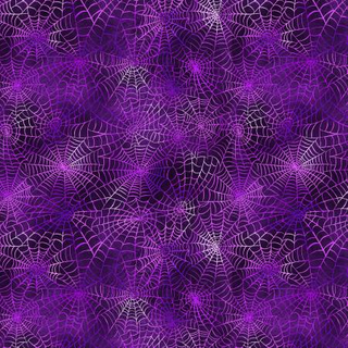INTO THE WEB W5344-14 PURPLE